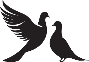 Beautiful couple pigeon vector design