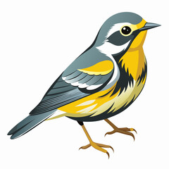 warbler vector illustration, white background