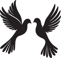 Beautiful couple pigeon vector design