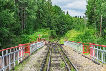 Railway track in the forest.