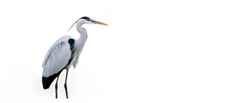 Geometric pattern stylized heron abstract art minimalist background