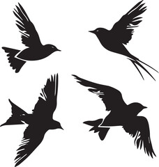 silhouettes of birds