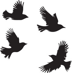 silhouettes of birds