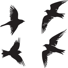 Fototapeta premium silhouettes of birds
