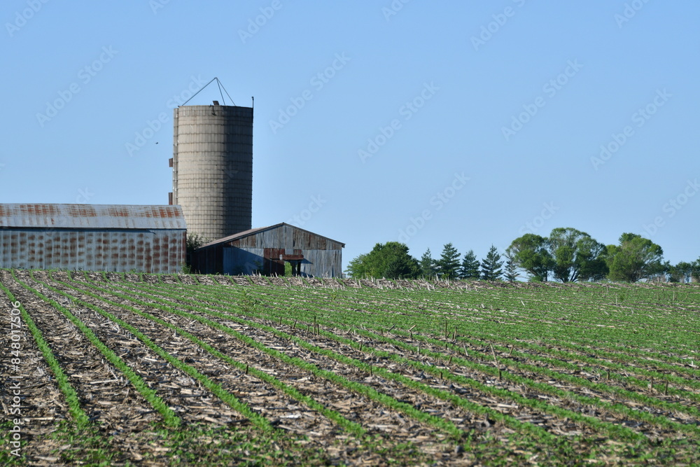 Poster crops in a farm field by a barn and silo