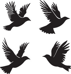Fototapeta premium set of birds