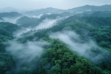 A scenic view of misty mountains with lush green forests, displaying layers of fog and peaks fading into the horizon under a hazy sky.