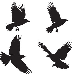 silhouettes of birds