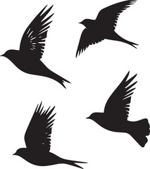 silhouettes of birds