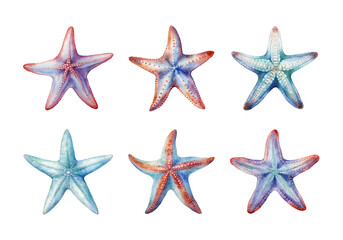 Cute watercolor painting style illustration of Starfish, isolated on white background