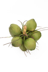 Side view of fresh coconut fruit with green color on white background.
