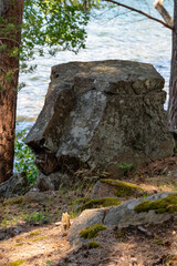 Rock near water looking like a stone from Easter island