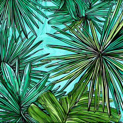 cartoon illustrator card or background