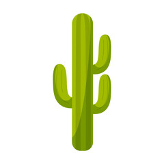 Cartoon cactus plant. Succulent. Mexico plant. Houseplant