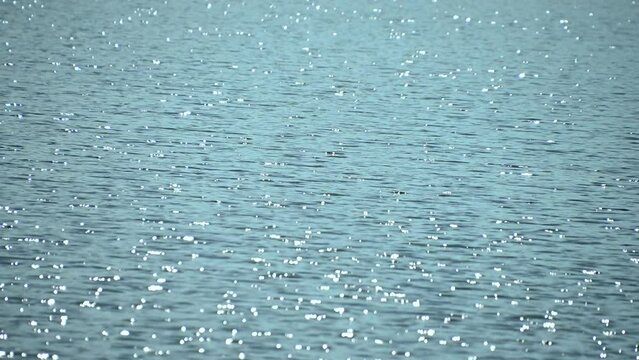 Sun glare on the surface of the water. River flow. Summer.