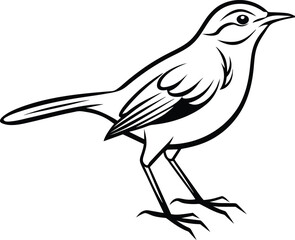 Little Bird for kids coloring page vector illustration