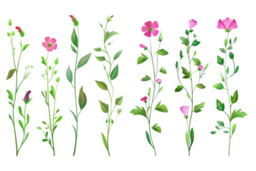 collection of plant based magical effects, instant flowers blooming and fast growing vines on a white background.