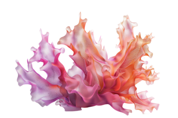 Coral filaments of dynamism weaving together to create a spellbinding