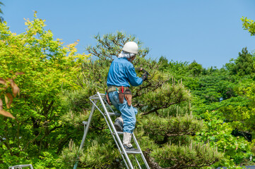 植木職人