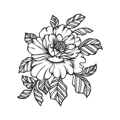 Hand-drawn black silhouette of a peony flower. Floral print, template, vector