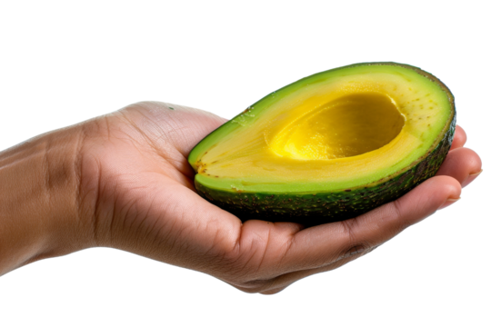 avocado in hand cut out transparent isolated on white background PNG file