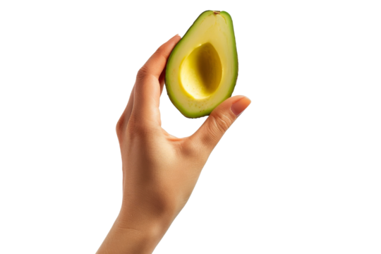 avocado in hand cut out transparent isolated on white background PNG file - Powered by Adobe