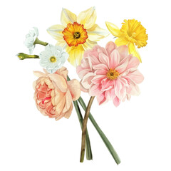 Watercolor Bouquet of Daffodil, Chrysanthemum, and Rose , Botanical plant illustration transparent background, PNG
