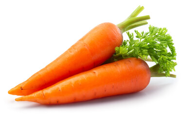 Carrots isolated. Carrot on white background. Two carrots with green leaves. Full depth of field.