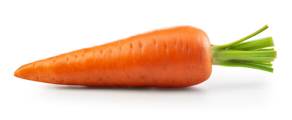 Carrot isolated. Carrot on white background. Carrot with green leaves. With clipping path. Full depth of field.