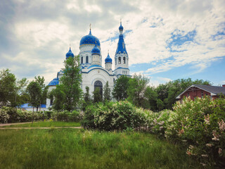 Spring lilac bush near the white cathedral.