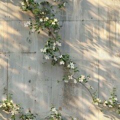 Concrete wall with star jasmine