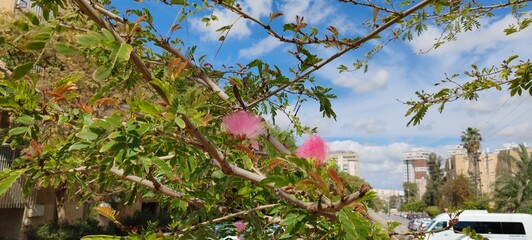Shabbat time. Bear Sheva in Israel. Downtown on south Israel