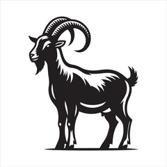 goat vector, illustration