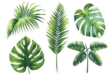 A set of colorful tropical leaves against a pure white background