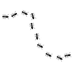 line of black ants hand drawn vector 