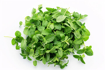 Fototapeta premium A bunch of fresh green mint leaves on a white background