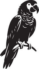Parrot silhouettes