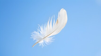 Soft White Feather Floating in the Calm and Serene Atmosphere