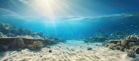 Naklejka premium Sandy sea bottom Underwater background. Creative banner. Copyspace image