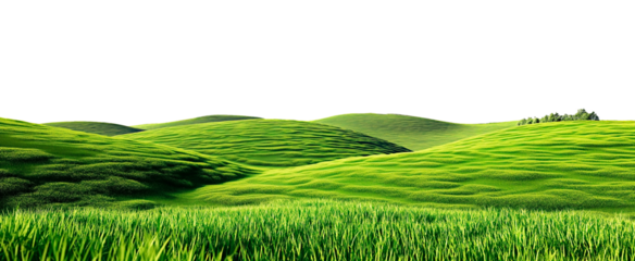 Cut out vibrant green meadow with hills. Isolated green pasture land that can be used as background.