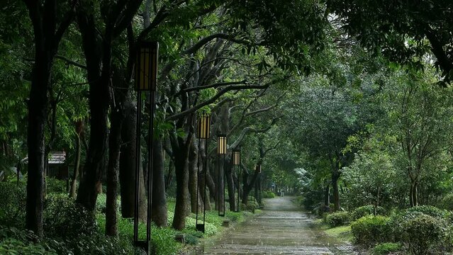 public park on a rainy day at horizontal composition video with sound
