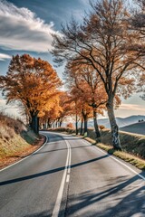 Fototapeta premium road in the countryside