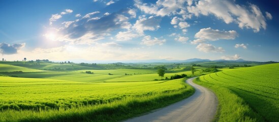 Fototapeta premium road. Creative banner. Copyspace image