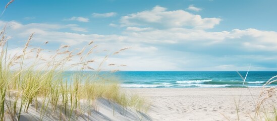 Dunes on the beach. Creative banner. Copyspace image