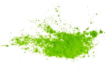 White wall with branches of a plant with green leaves Isolated on A Transparent Background