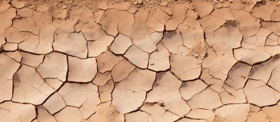 Closeup dry cracked earth background clay desert texture on rock. Creative banner. Copyspace image