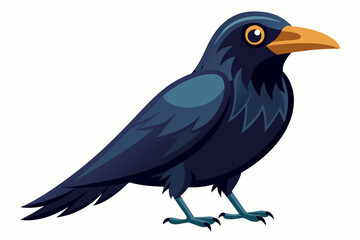 Crow Bird Vector illustration