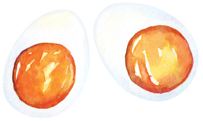Hand drawn boiled egg watercolor illustration.Cut in half.Hard boiled egg.Protein-rich breakfast.