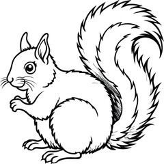 Squirrel coloring pages for kids