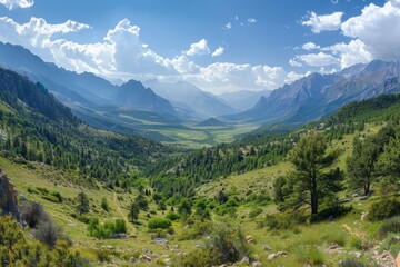 Fototapeta premium Mountain Valley Panorama